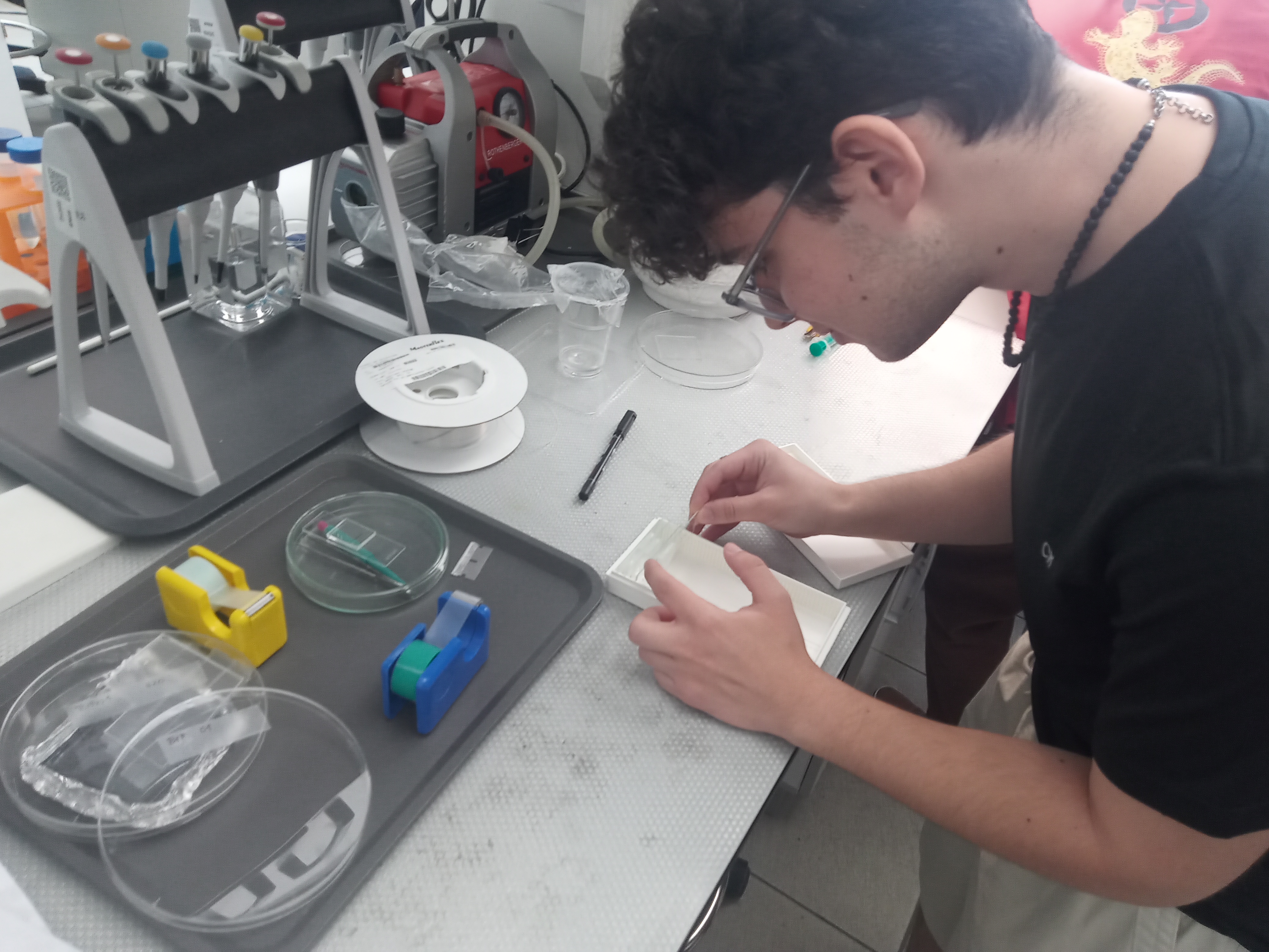 Lab-on-a-Chip for Biomedical Use - Erasmus+ BIP 2025