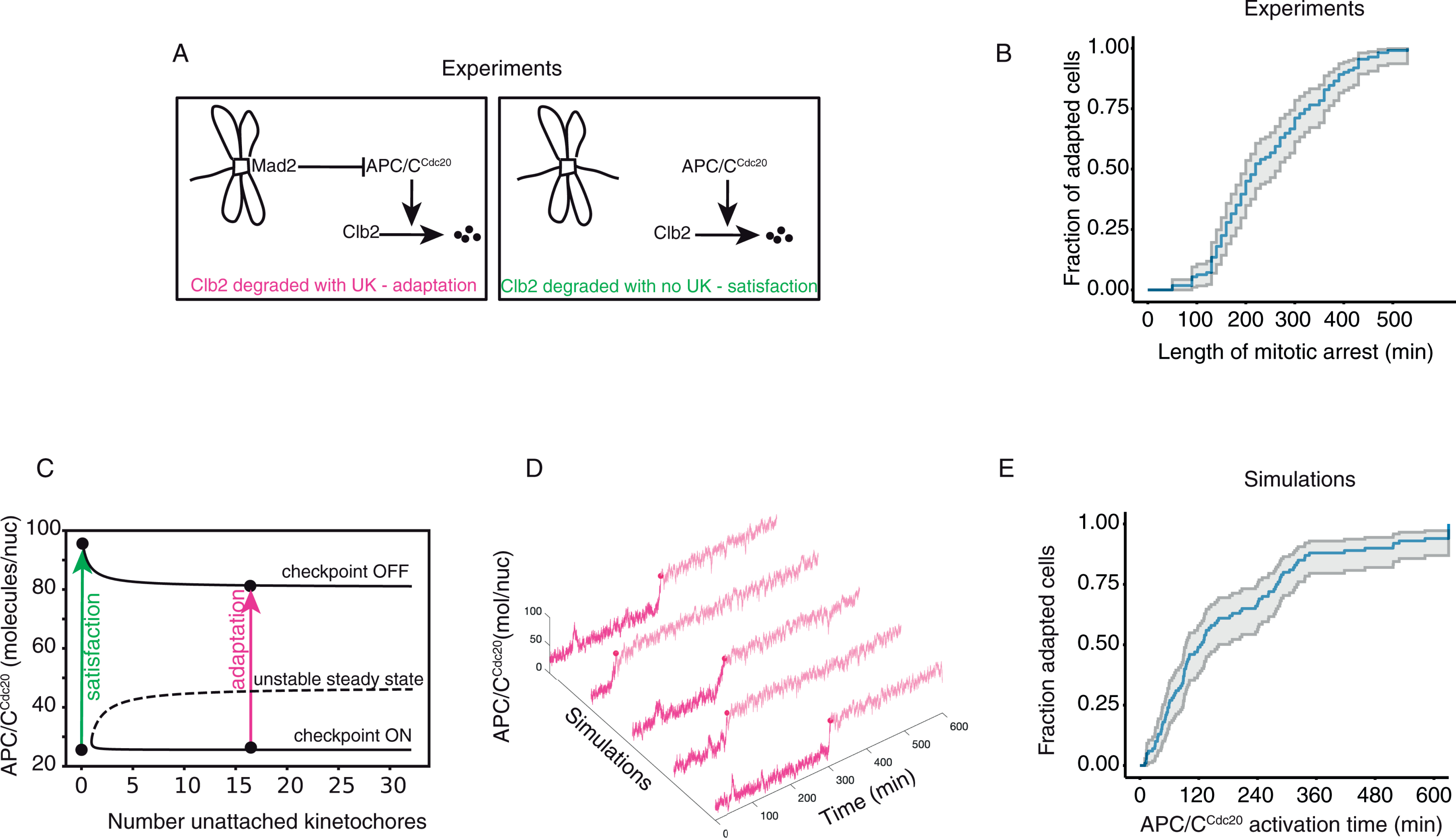 A PLOS Computation Biology folyóiratban jelent meg kutatóink cikke