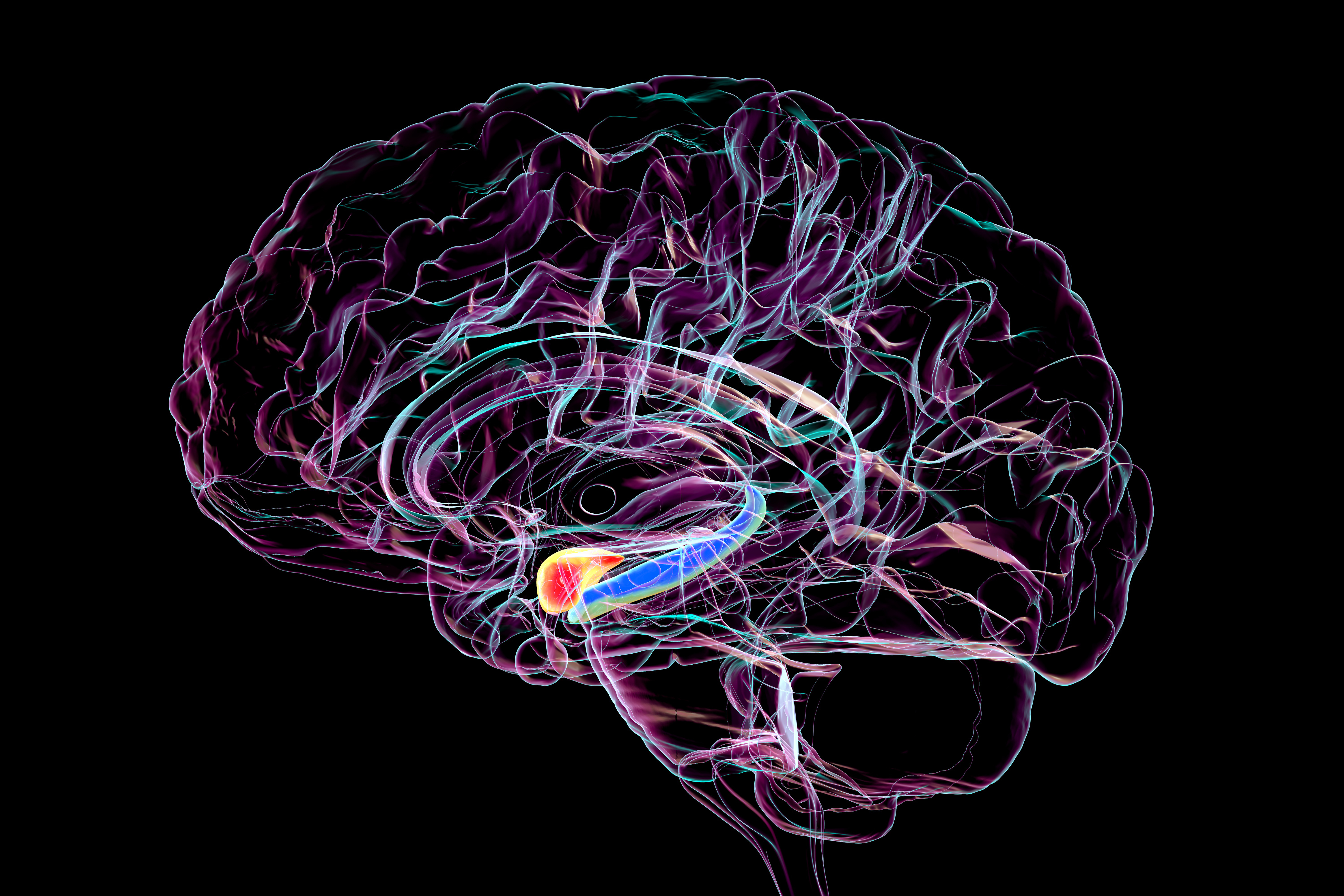 Human Invasive Neurotechnology Reveals Complex Brain Processing Under General Anaesthesia