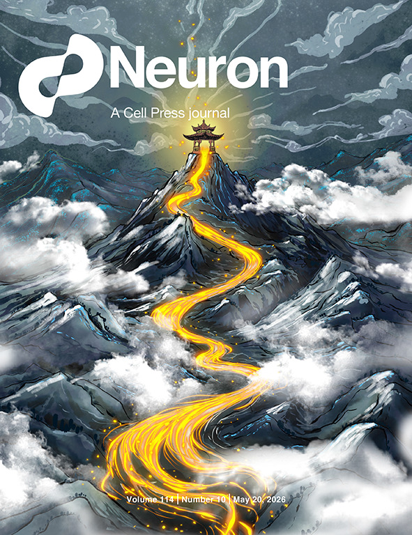 A New Frontier in Neuroscience