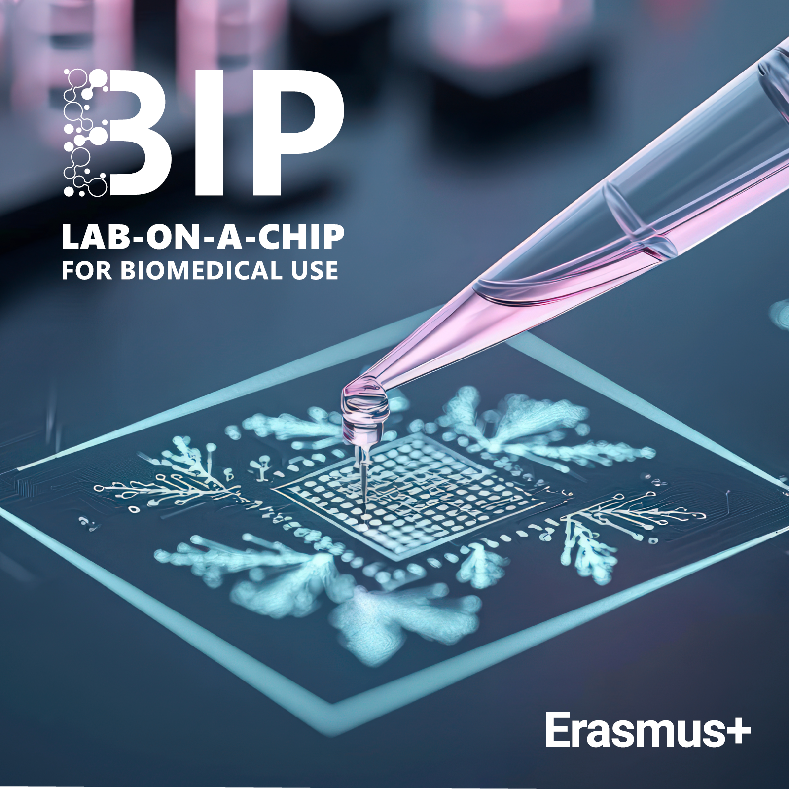 Elstartolt a Pázmány ITK nemzetközi „Lab-on-a-Chip for Biomedical Use” programja!
