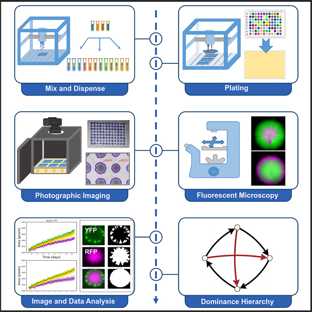 Our researchers have developed a new method for studying microbial interactions